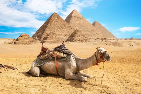 Egyptian Pyramids